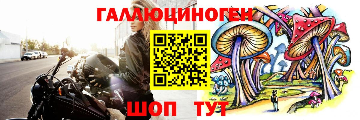 купить закладку  Псилоцибиновые грибы прущие грибы  Вход с VPN  Братск 
